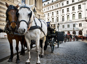 Nach Wien reisen